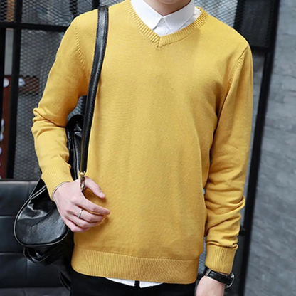 Classic V-neck men's sweater for everyday wear and the office