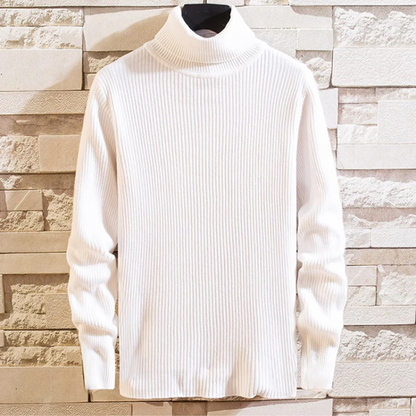 Turtleneck jumper men - Stylish turtleneck jumper with ribbed structure