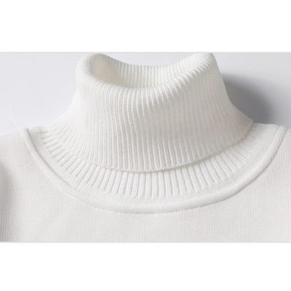 Men's lined turtleneck jumper | Warm winter jumper