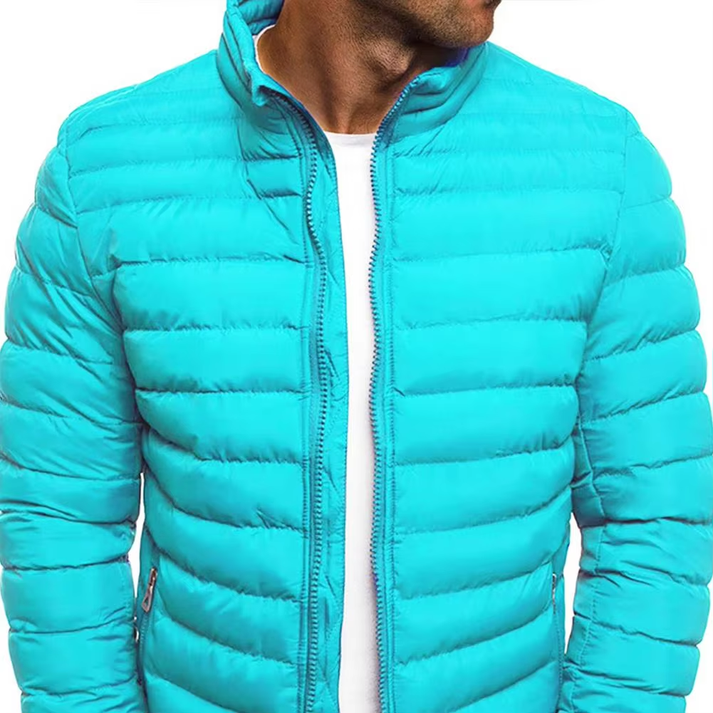 Men's puffer jacket with stand-up collar and front zip