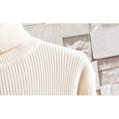 Turtleneck jumper men - Stylish turtleneck jumper with ribbed structure