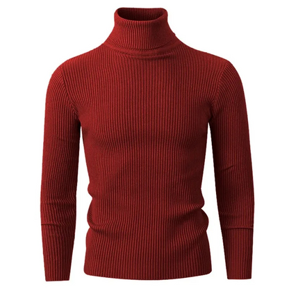 Turtleneck jumper men - Stylish turtleneck jumper with ribbed structure