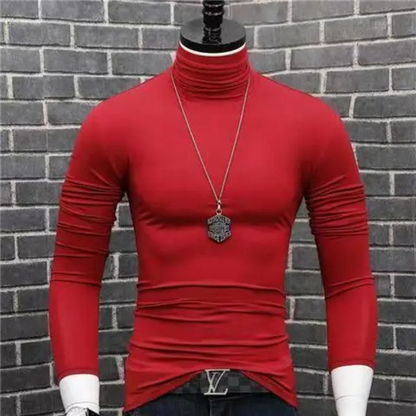 Elegant turtleneck jumper men - Fashionable turtleneck jumper