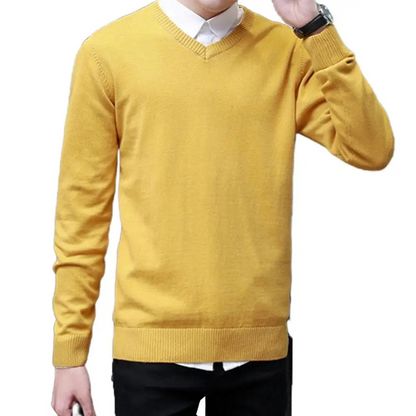 Classic V-neck men's sweater for everyday wear and the office