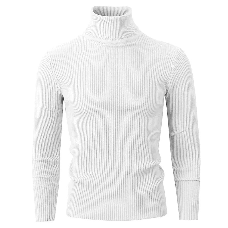 Turtleneck jumper men - Stylish turtleneck jumper with ribbed structure